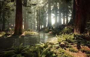 Products: Blue Springs, Redwood Forest, Huka Falls Private tour