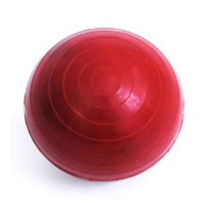 Throwing Equipment: Junior PVC Shot Put