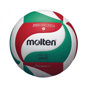 Molten V5M5000 Leather Volleyball