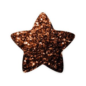 Main Page Promotion: 10G BRONZE GLITTER STARS FOR RESIN
