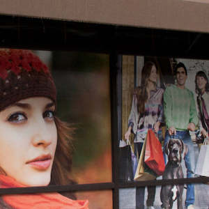 Digital Print Windows: Econovue