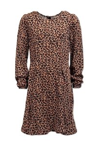 Leopard Print Dress