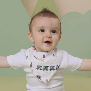 Trains Organic Dribble Bib