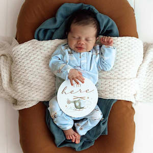 Baby Bodysuits: Taking Flight Organic Growsuit