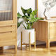 Home Decor Indoor Width Adjustable Plant Stand TCDS1 | TOUCHANDCATCH NZ