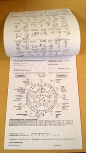 Products: Touch For Health Consultation Pads