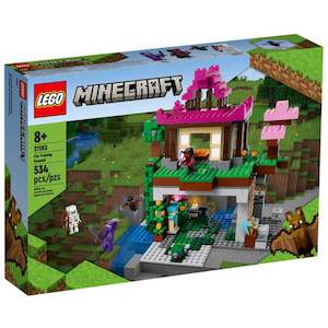 LEGO Minecraft 21183 The Training Grounds