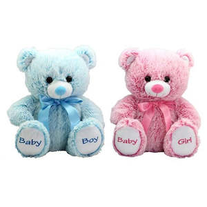 Teddy Time: Teddy Time Remmie Bear 40cm (Assorted)
