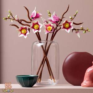 Sale: LEGO Botanicals Magnolia Branches 11510