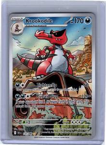 Pokemon Single Krookodile Black Bolt Illustration Rare • 137/086