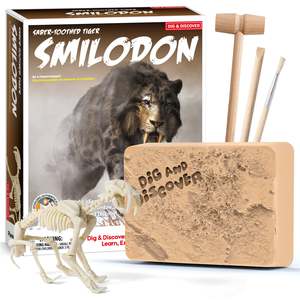Piano Potato Dig Kits - Smilodon