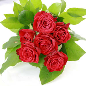 Valentines Day 6 Red Roses