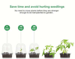 Mother Day Sale: Pots, Clear with Humidity Dome