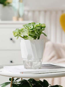 Mother Day Sale: Pots, Self-watering