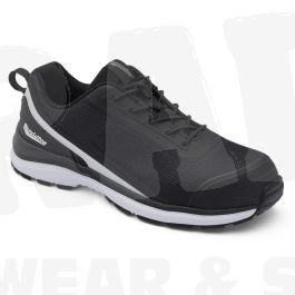 Products: 793 Blundstone Safety Shoe