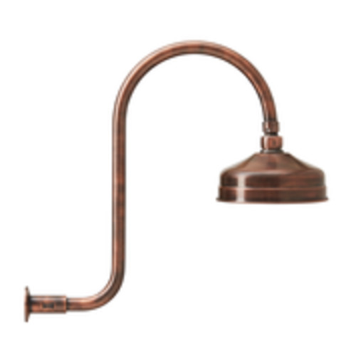 Shower System: Clasic Shower Rose & S Neck