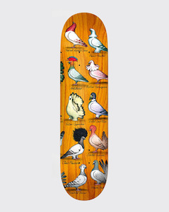 Antihero: Antihero PFanner Show Pigeons 8.06” Deck