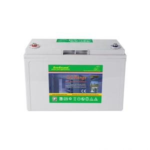 Batteries: EverExceed 12V Lead Carbon Solar Batteries