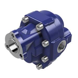 Pumps: Ronzio GPH Gear Pump