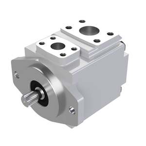 B&C BD Vane Pump