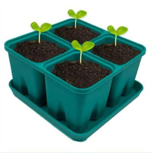 Products: Silicon Seedling Trays
