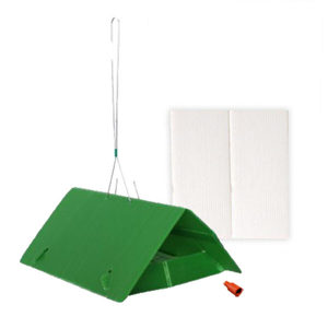 Guava Moth Pheromone Trap Pack