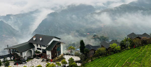 Products: Saigon La Siesta Premium