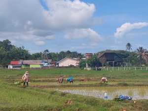 Southern Laos Escape: Nature, Heritage & Hidden Wonders