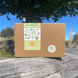 Tree Children Box: Past Box - Rimu Box