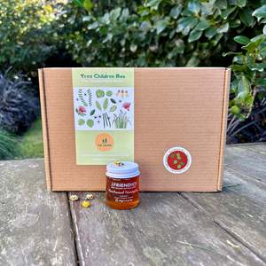 Tree Children Box: Past Box - Red Beech Box