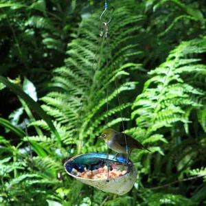Paua Dish Hanging Feeder - Tree Earrings bird feeders by Sisterhouse
