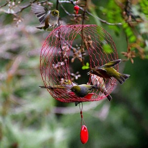 Products: Nectar Ring - Tree Earrings bird feeders by Sisterhouse