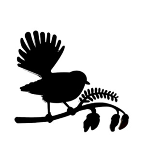Gifts 50 100: Fantail on Kōwhai