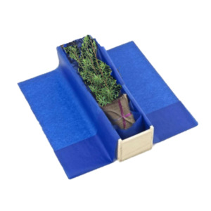 Gifts Under 50: Kanuka Tree Gift