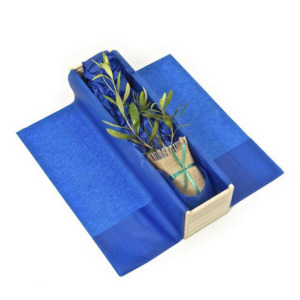 Olive Tree Gift