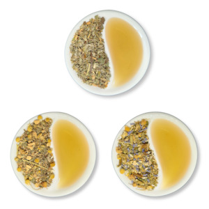 Women's Wellness Tea Blend Collection Pack