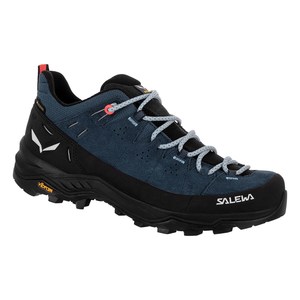 Footwear: Salewa Alp Trainer 2 GTX