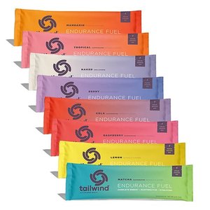 Tailwind Endurance Fuel - single sachets