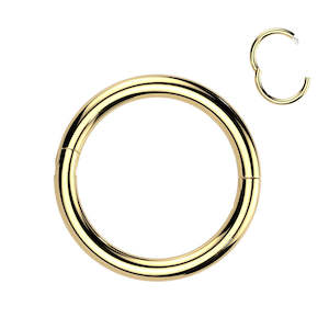 Titanium Gold Half Closure New Secure Hook Hinged Segment Ring - TI-203A