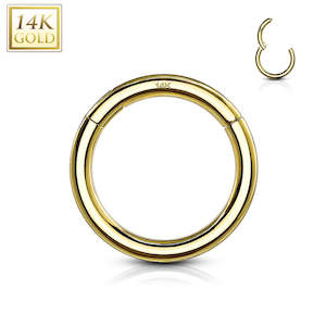 14kt Solid Gold Hinged Segment Ring 18 Gauge - GOLD04