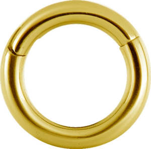 Titanium Gold Hinged Segment Ring 20 Gauge - T-BG-BHSR