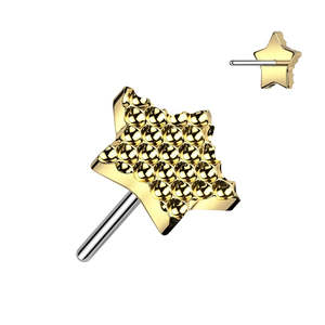 Labret Studs: Titanium Gold Diamond Shape Cut Star Top Threadless Push In Top (Base Sold Separately) - TT132A