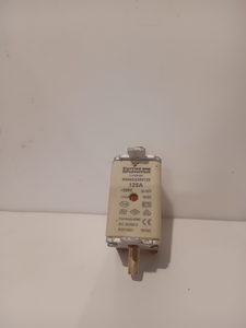 Products: Guinault Input Fuse 125A FSCT79660 – Tried & Tested