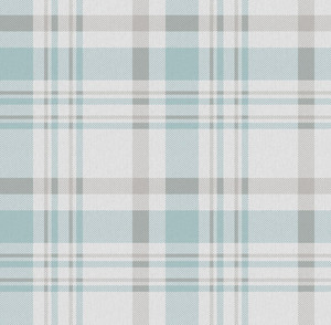 1906-1 PLAID Trimtex