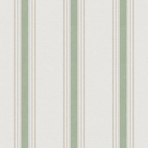 1909-5 HANA STRIPES Trimtex