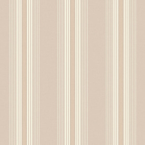 Products: 4310-1 NOMAD STRIPES Trimtex