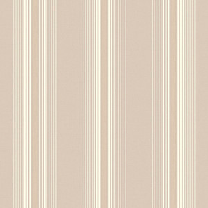 Products: 4310-1 NOMAD STRIPES Trimtex
