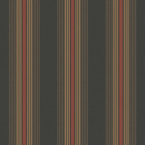 4310-2 NOMAD STRIPES Trimtex