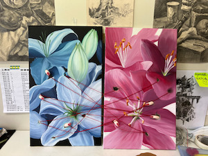 Products: Fundamentals Trinity Studio