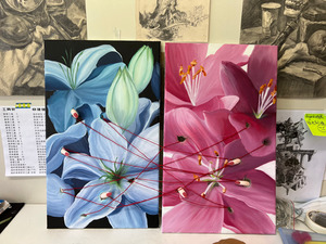 Products: Fundamentals Trinity Studio